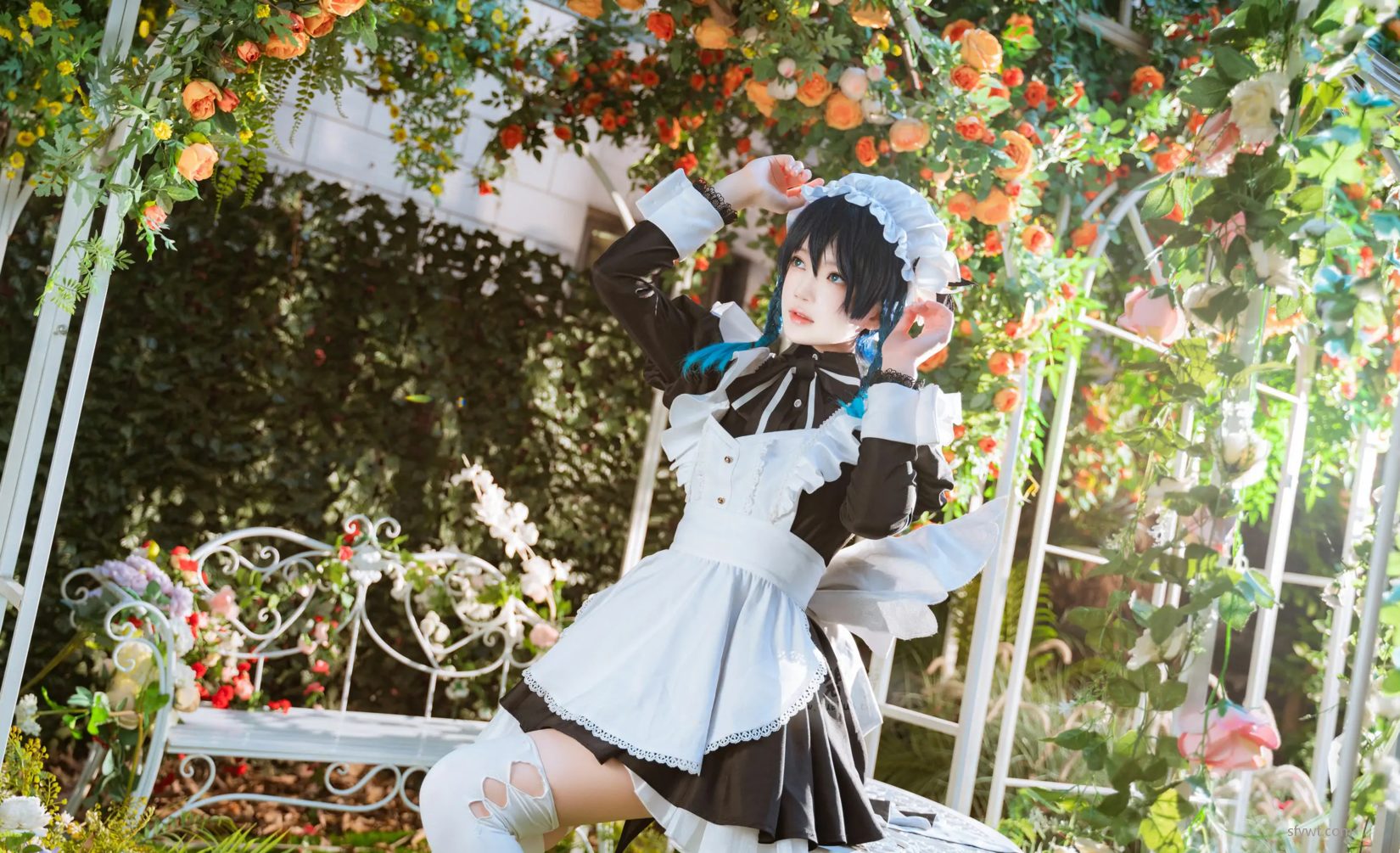 coserд ģ (26P) @ [COS] µ ͼ P.1 